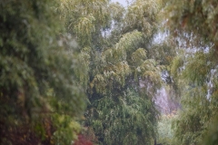 AI4P2840-Editar-Editar