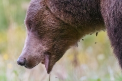 AI4P6119-Editar-Editar