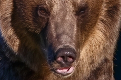 AI4P7415-Editar-Editar