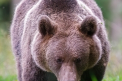 AI4P5827-Editar-Editar