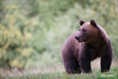 AI4P5904-Editar-Editar