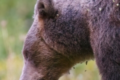 AI4P6119-Editar-Editar