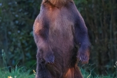 AI4P7383-Editar-Editar